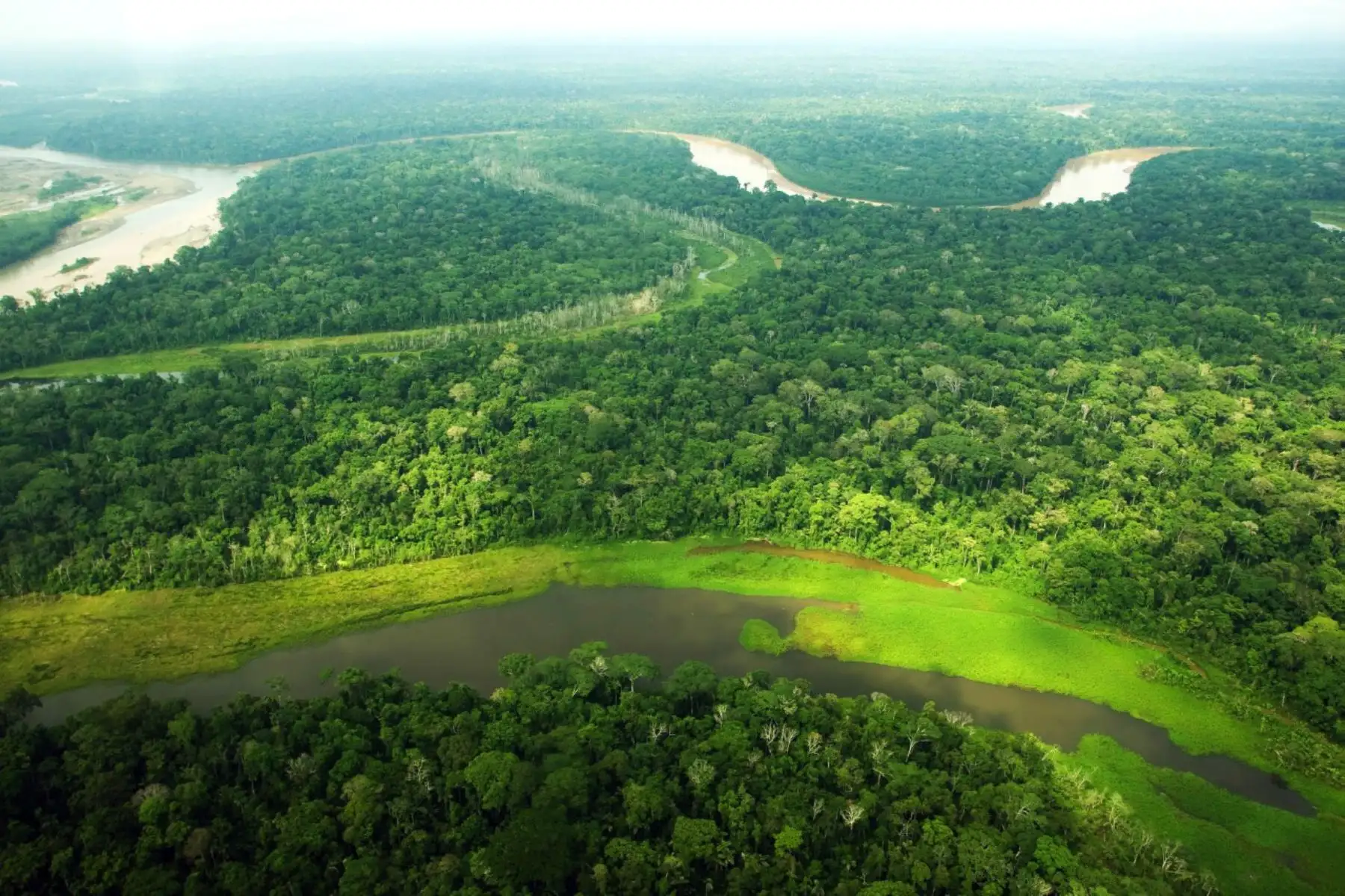 Puerto Inca: Midagri aprueba zonificación que define uso de tierras forestales