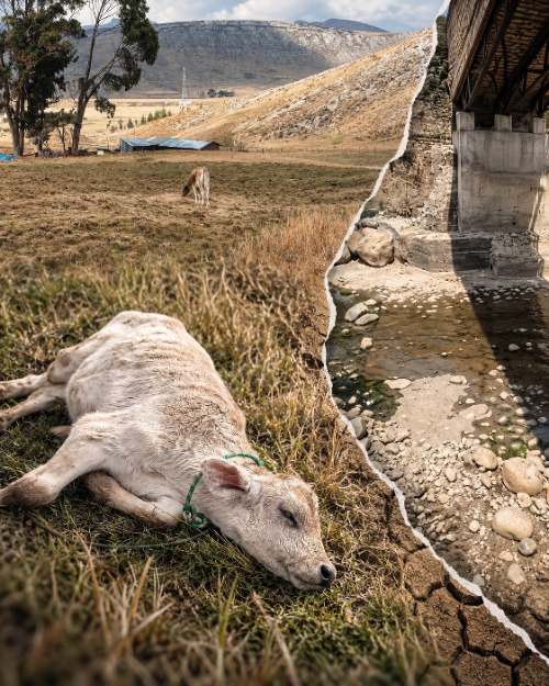 «No tenemos agua»: Más de 500 familias de Huánuco Pampa, fuera de la emergencia