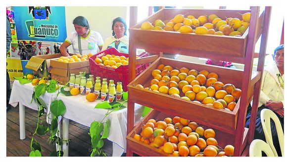 HUÁNUCO INVERTIRÁ 4 MILLONES DE SOLES EN CULTIVO DE GRANADILLA PARA IMPULSAR AGRICULTURA