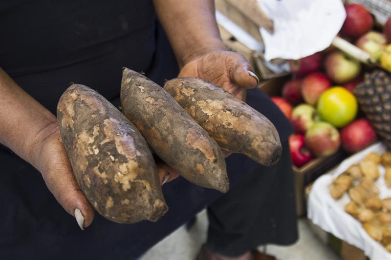 EMPRESAS PERUANAS DE ALIMENTOS PRESENTARÁN SU OFERTA DE PRODUCTOS EN COLOMBIA
