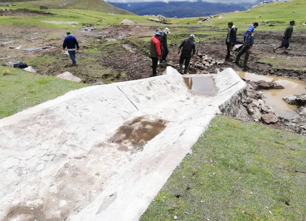 Proyectos de siembra