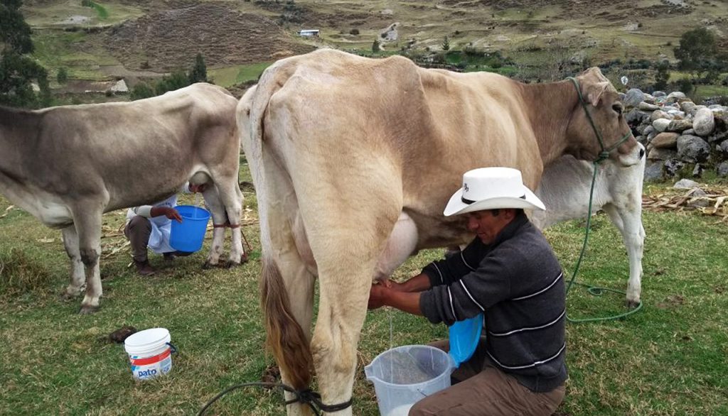 Consejo provincial evalúa denuncia contra Procompite municipal