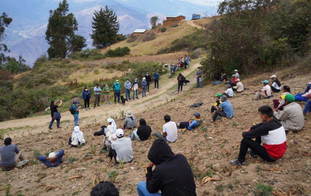 Limpieza de canales mediante la contratación de de cerca de 100 empleos temporales