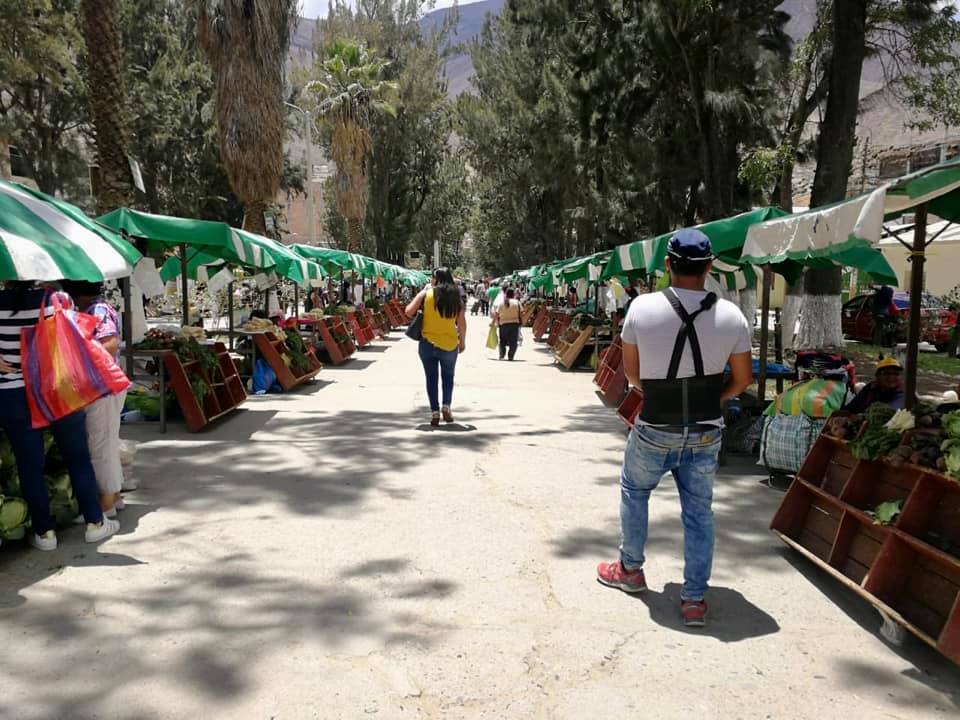 Reactivan feria sabatina en la Alameda la República