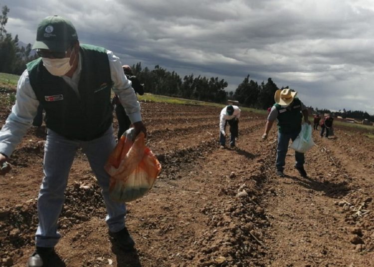 Ley agraria: Comisión de Economía aprueba sueldo básico en S/ 1116 al mes