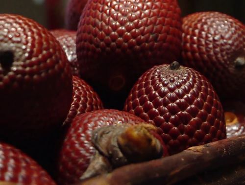 Estudiantes elaboran jabón y shampoo a base de residuos de aguaje y ganan competencia