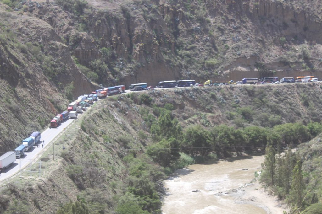 Bloqueo de vías ocasiona muerte de animales varados en carreteras