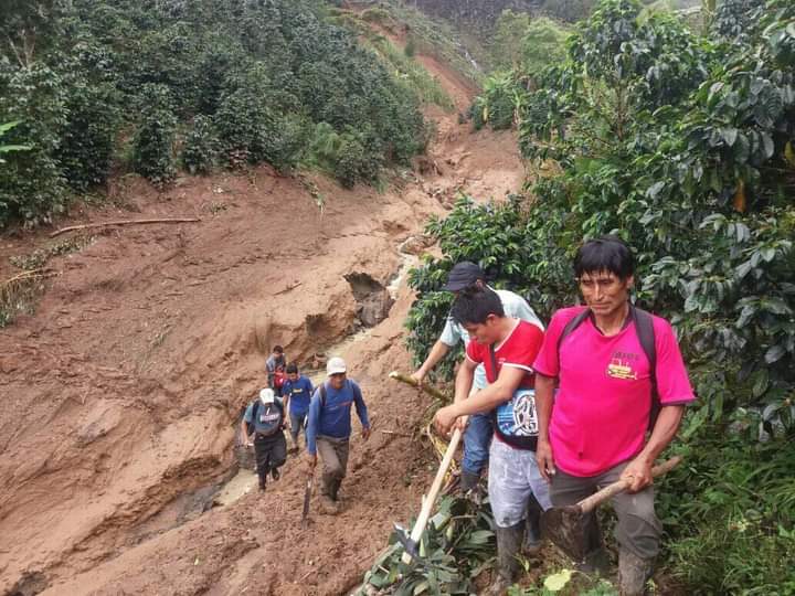 Lluvias afectaron a 306 familias y 145 hectáreas de sembríos