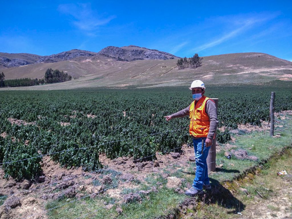 Buscan declarar en emergencia a 27 distritos afectados por heladas