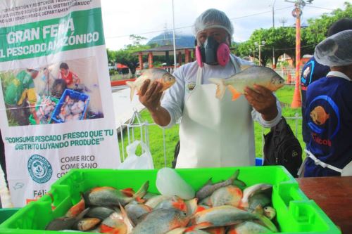 Huánuco: exproductores cocaleros se reconvierten y destacan ahora como acuicultores