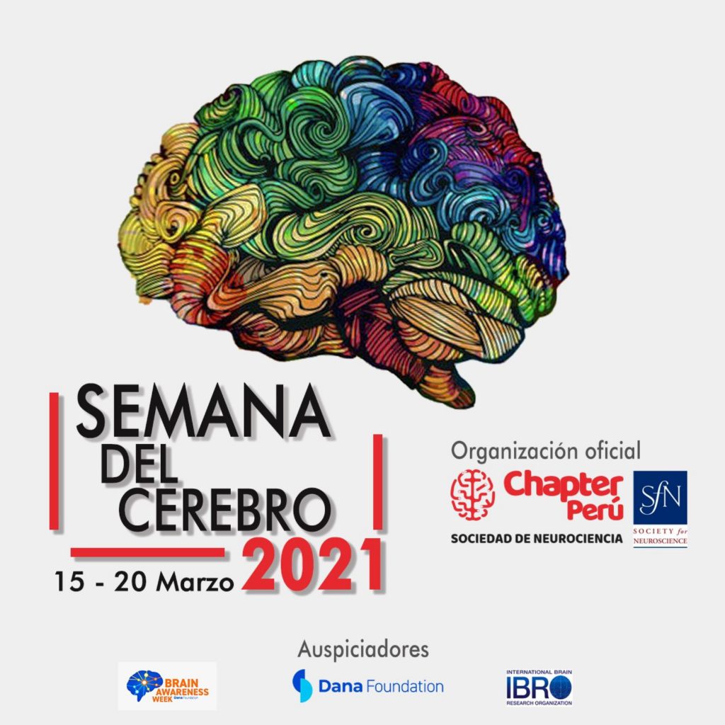 Chapter Perú organiza la Semana del cerebro