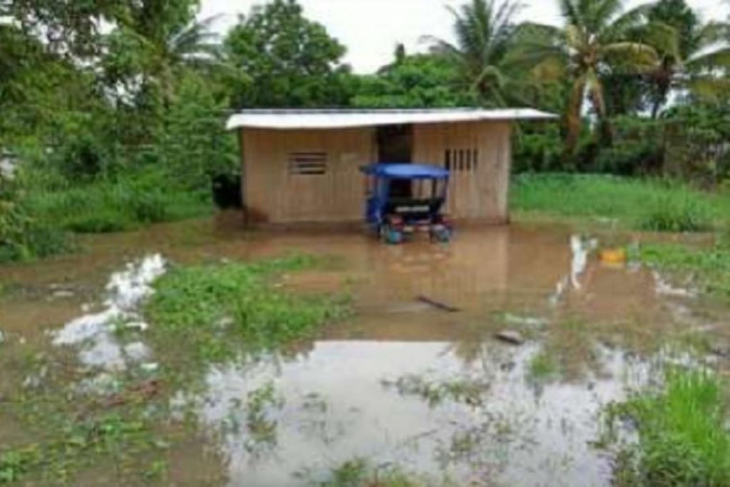 La Selva en alerta roja