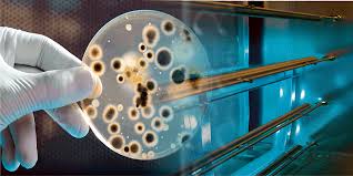 Lámparas de luz UV-C podrían ayudar a desinfectar los hogares