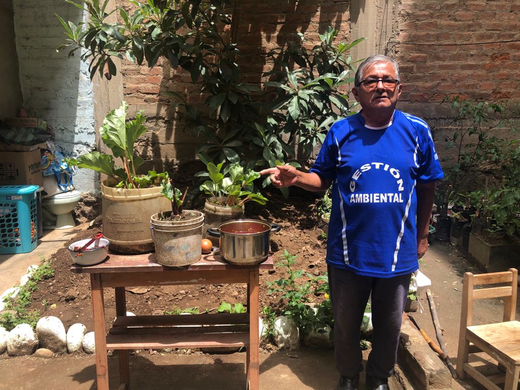 Especies de plantas del Huallaga y Marañon refuerzan la inmunidad del cuerpo humano