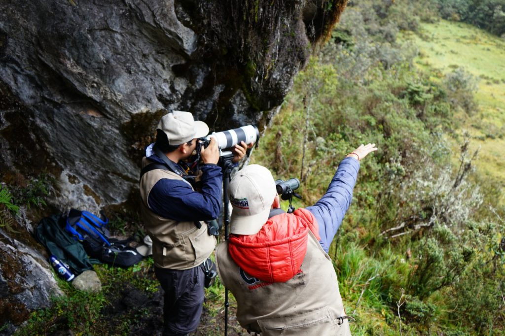 Áreas de conservación fueron escenarios avistamiento de aves