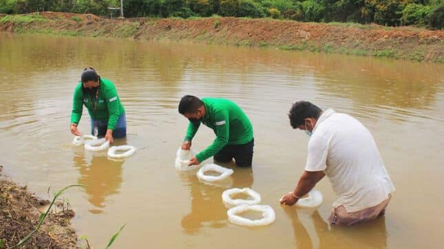 Entregan 222 toneladas de alimentos a productores acuícolas