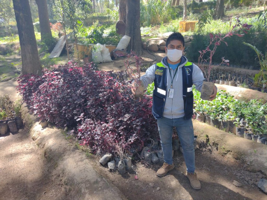 Inicia campaña de reciclaje “Amarilis Ecológico”