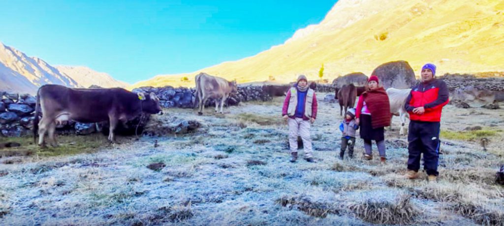 Agricultura evalúa daños a cultivos afectados por las heladas en Lauricocha