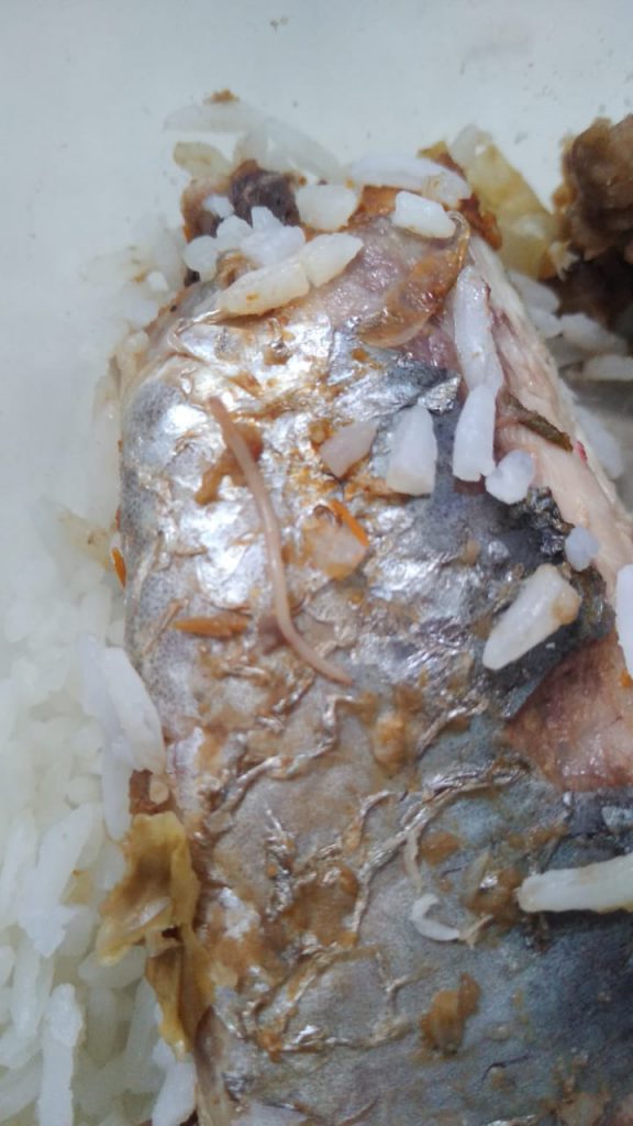 Entregan sudado de pescado con gusano a personal de salud del Valdizán