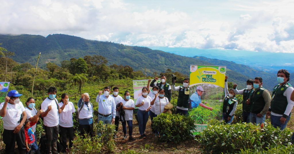 Contradicción en consumo de combustible en el proyecto Té Verde en la DRA