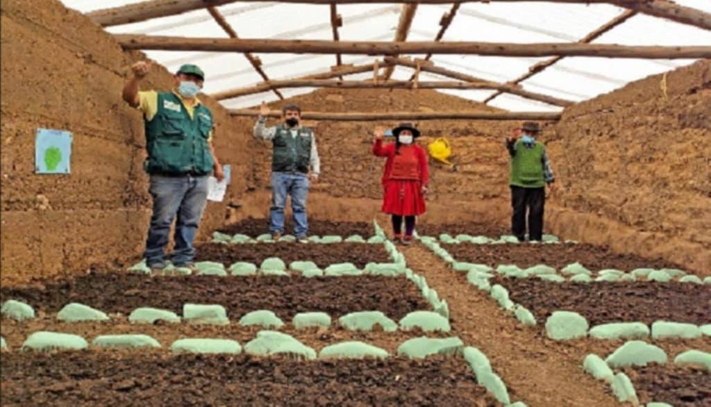 recibirán fitotoldos