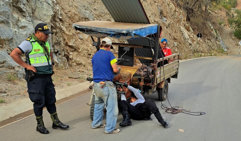 salvar a transportista