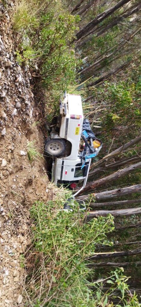 Árbol salva a pasajeros de morir