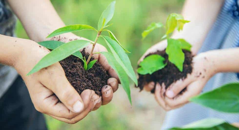 emprendimiento social