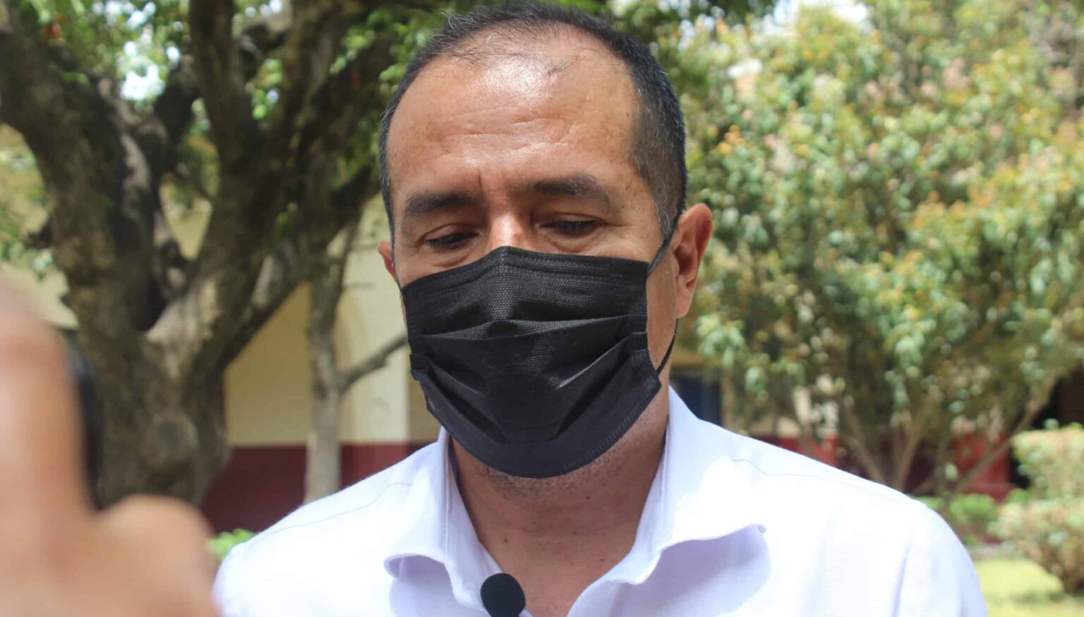 bebidas alcohólicas