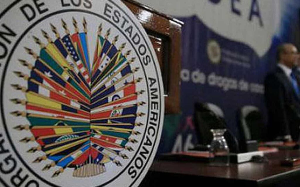 La OEA y el arte de matar nuestras propias pulgas