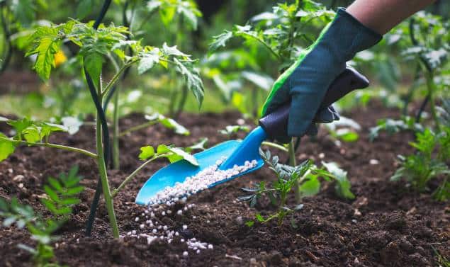 Algo huele mal en Agricultura