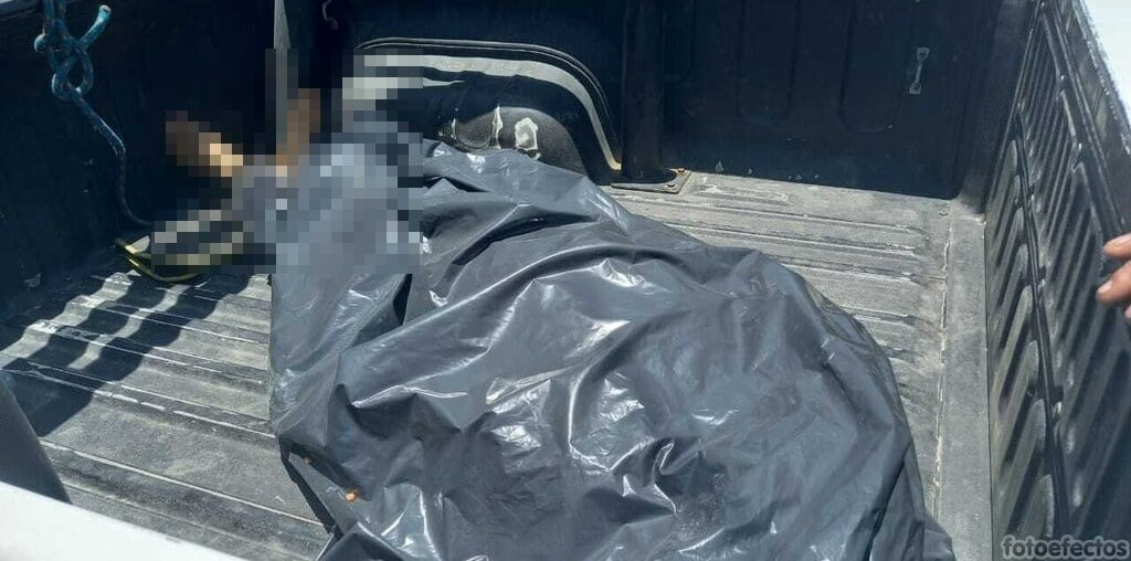 resultado de la necropsia