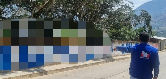 Propaganda de excandidatos