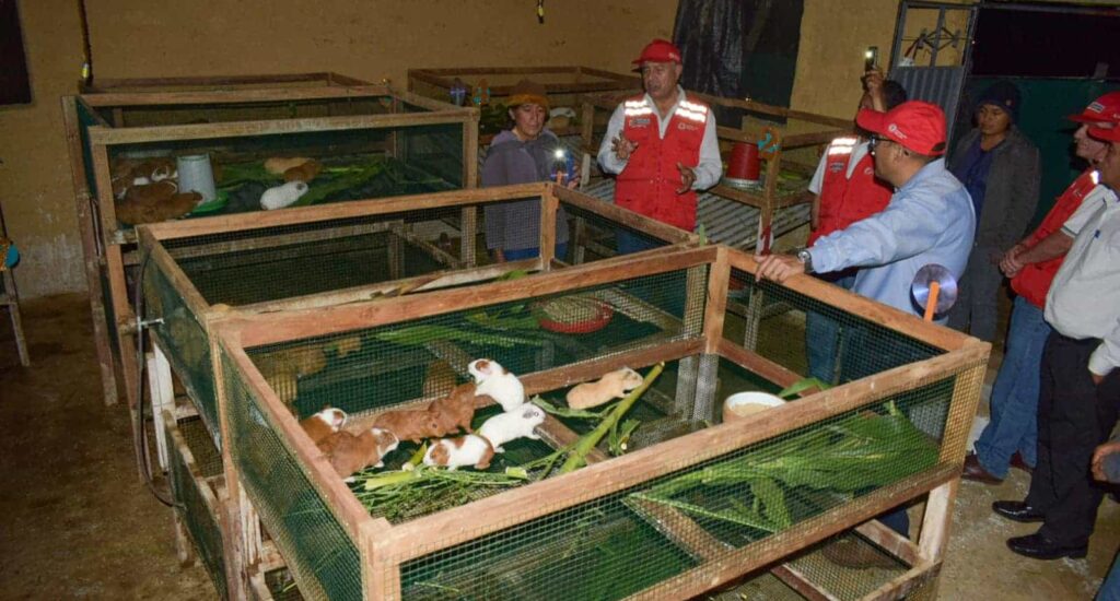 Emprendimientos Rurales