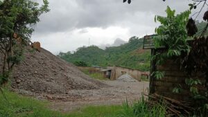 Organización Criminal