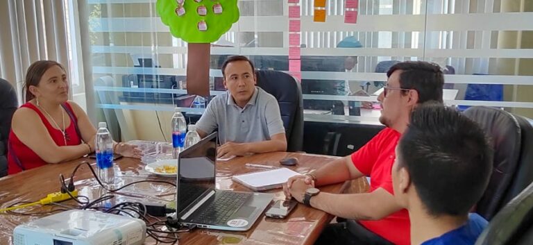 Reordenamiento de Pillco Marca