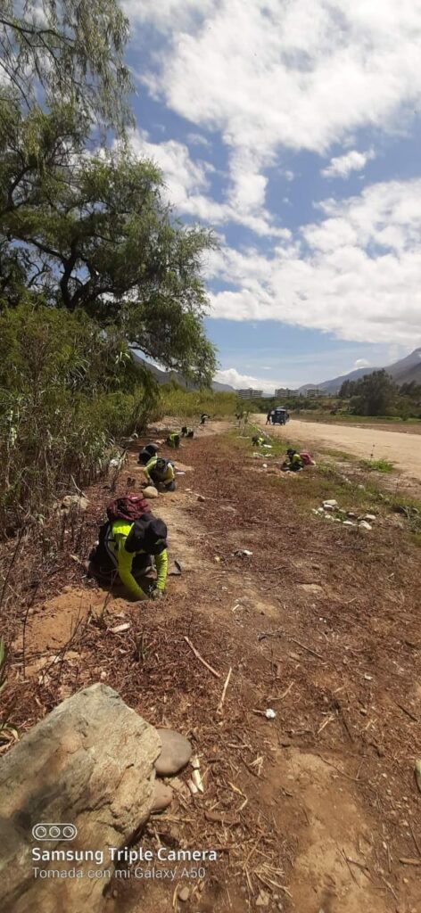 Reforestación del Malecón Jancao