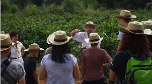 EL VIAJAR PARA CONOCER E INNOVAR