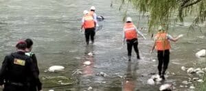 Cadáver en estado de putrefacción