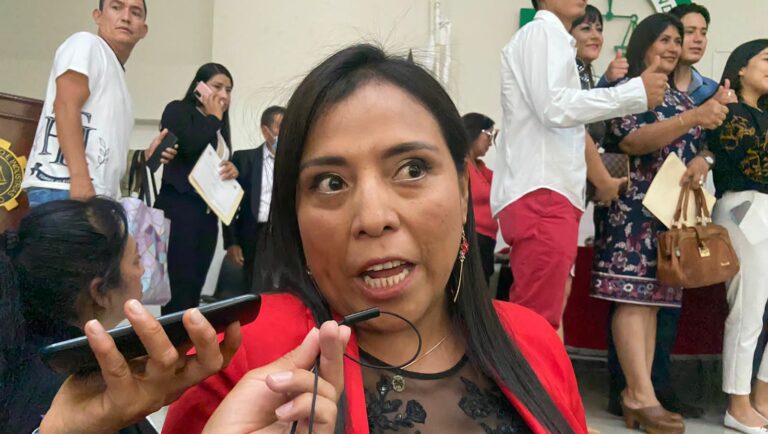 Pandemia interrumpió fiscalización