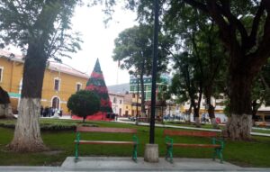 Decoración navideña