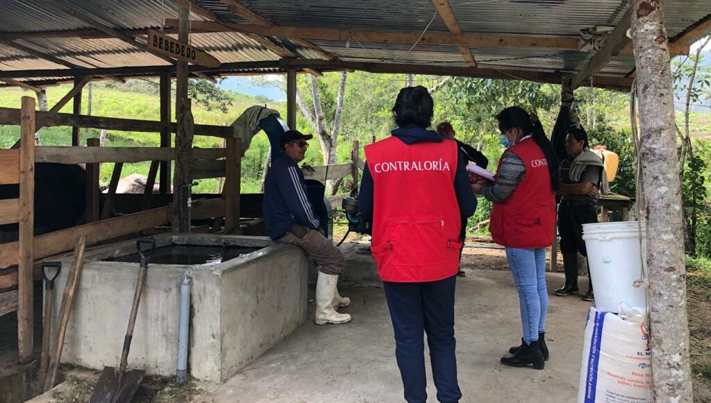 Dalos en cadenas productivas