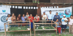 Producción de cuyes