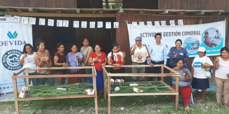 Producción de cuyes