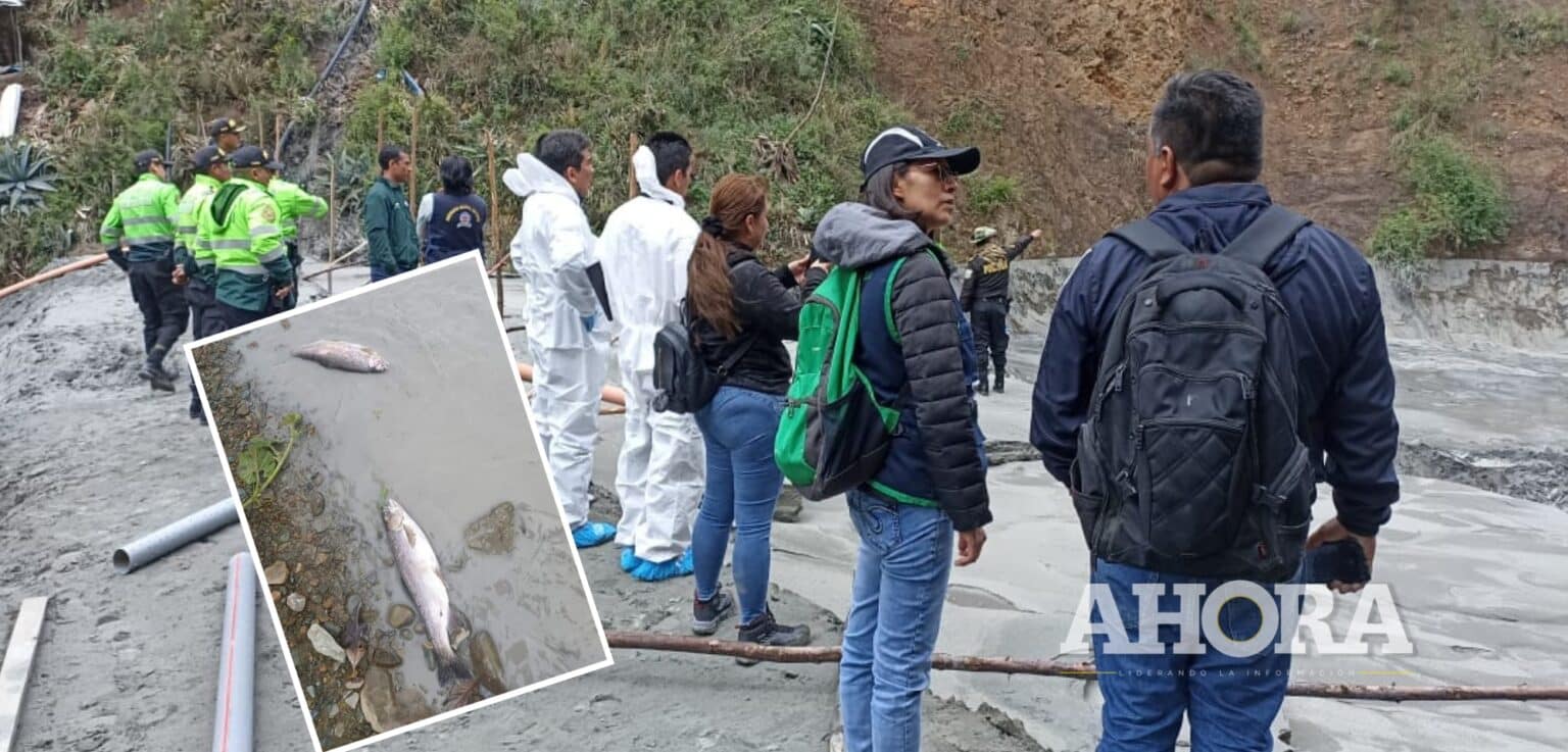 Intoxicación con metales pesados