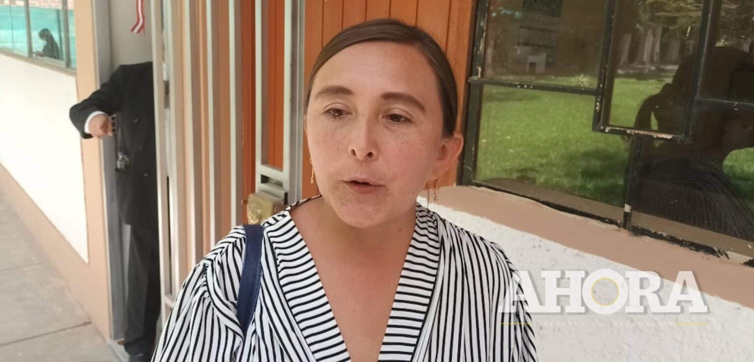 Plejo presentará gerentes