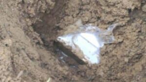 Hallan feto en estado de putrefacción