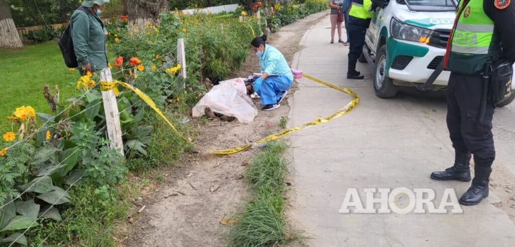 Camioneta se dio a la fuga