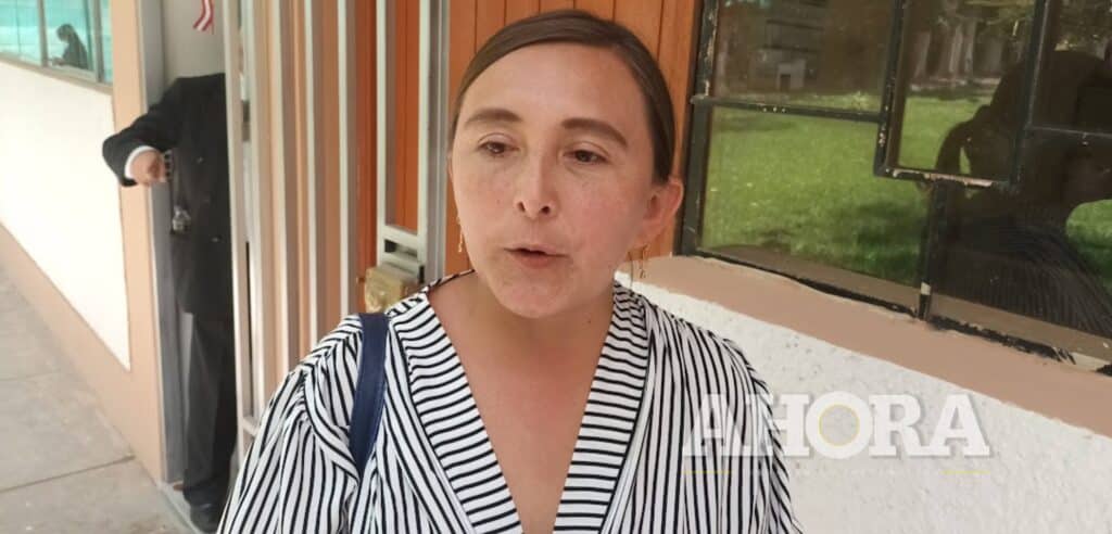 Alcaldesa de Pillco Marca, Diana Plejo: “Ninguno de los cien proyectos de la gestión anterior sirven”