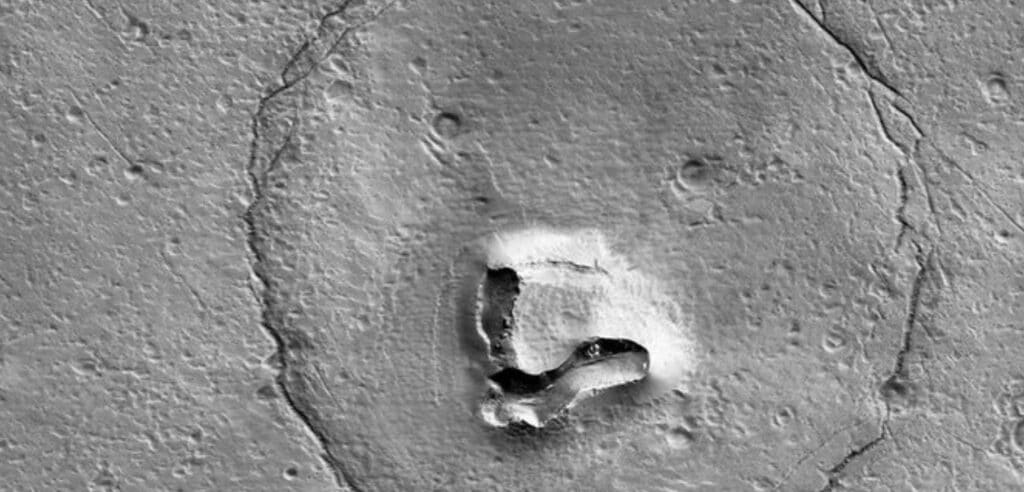 EE.UU.: Imagen de oso sonriendo fue captado en la superficie de Marte